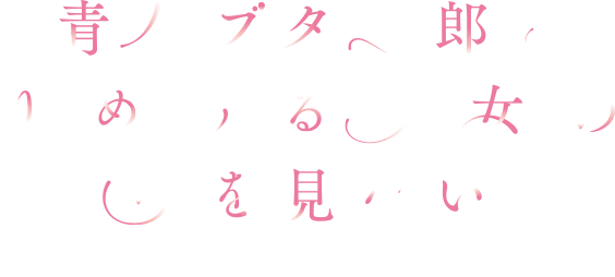青春ブタ野郎はゆめみる少女の夢を見ない